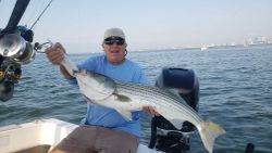Striped bass caught in Winthrop