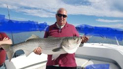 Striped bass caught in Winthrop