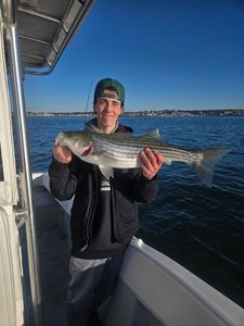 Striped bass caught in Winthrop