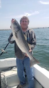 Striped bass caught in Winthrop