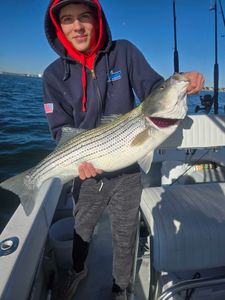 Striped bass fishing in Winthrop