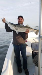 Striped bass caught by angler in Winthrop
