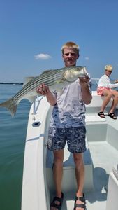 Striped Bass caught in Winthrop