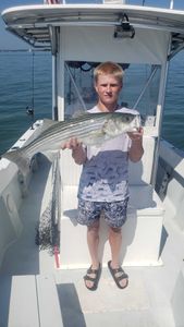Striped bass caught while fishing in Winthrop