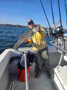 Striped bass caught by angler in Winthrop