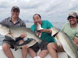 Two striped bass caught in Winthrop