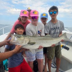 Striped bass caught in Winthrop during fishing trip