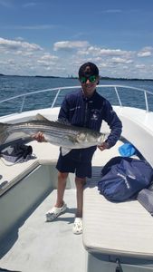 Striped bass caught while fishing in Winthrop