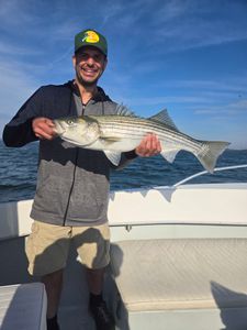 Striped bass caught in Winthrop during fishing