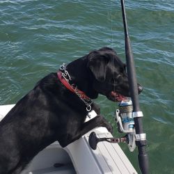 A magnificent fishing trip in MA