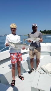 Striped bass caught in Winthrop