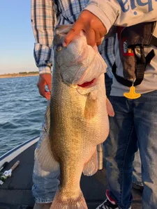 Fishing in Texas: Best catch of the day