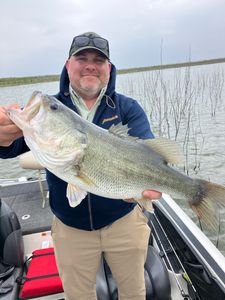 Fishing for a big Florida Bass in Texas
