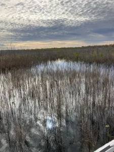 Great fishing in Voss