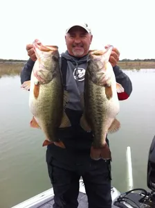 Two largemouth bass caught in Voss