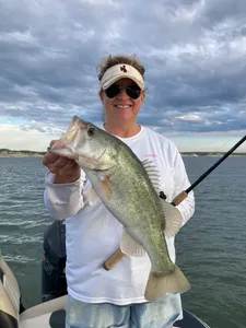 Largemouth Bass caught in Texas