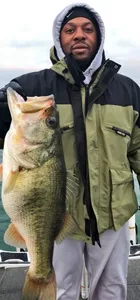 Largemouth Bass caught in Texas