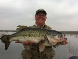 Largemouth bass caught while fishing in Texas