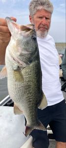 Largemouth bass caught while fishing in Texas