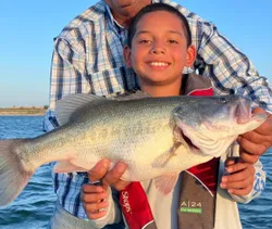 Largemouth Bass, 21 inches, caught while fishing in Texas