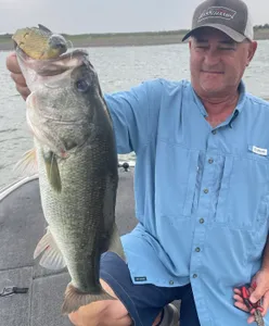 Largemouth Bass caught while fishing in Texas