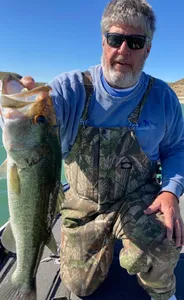 Largemouth Bass caught in Texas