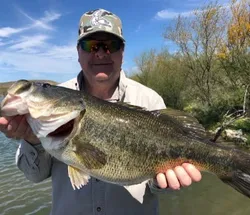 Largemouth bass caught fishing in Voss