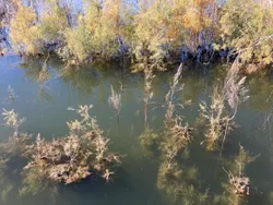 Stunning landscape of Voss, Norway