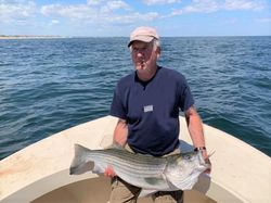 Striped Bass Run in Newburyport, MA