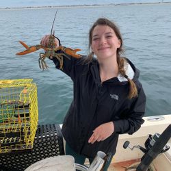 Lobster in Newburyport, MA