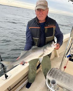 Fish-Species