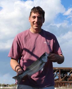 Striped bass caught while fishing in MA