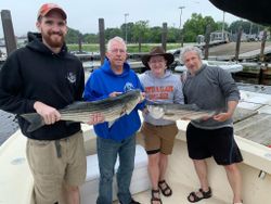Two striped bass caught in MA