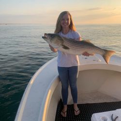 Striped bass fishing in Newburyport