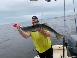 Striped bass fishing in Newburyport