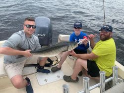 Striped bass caught in Newburyport
