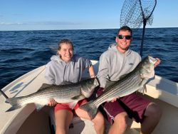 Two striped bass fish caught in Newburyport