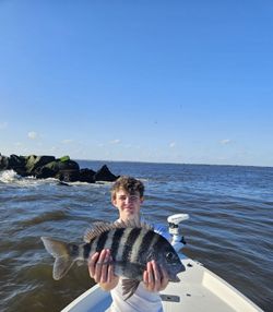 Sheepshead fish caught while fishing in Jacksonville