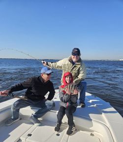 A sheepshead fish caught while fishing in Jacksonville