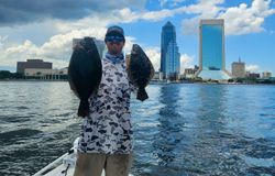 Two Southern Flounder fish caught while fishing in Jacksonville