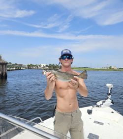 A photo of a spotted weakfish caught while fishing in Jacksonville