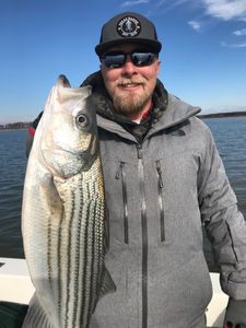 Striped bass caught while fishing in Pottsboro