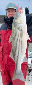 A striped bass caught while fishing in Pottsboro
