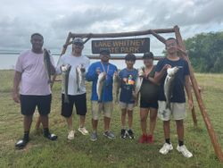 4 striped bass caught in Cleburne