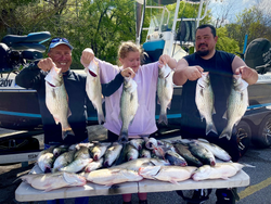 7 Wiper (Hybrid striped bass), Striped Bass fish caught in Cleburne