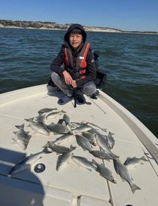 One angler fishing in Cleburne