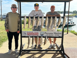Striped bass fishing in Cleburne