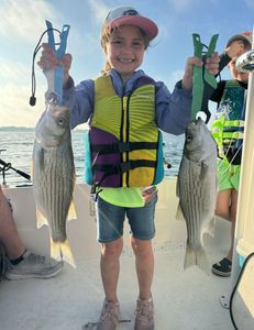 Two wiper (hybrid striped bass) fish caught in Cleburne
