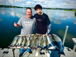 Four striped bass and wiper (hybrid striped bass) fish caught in Cleburne