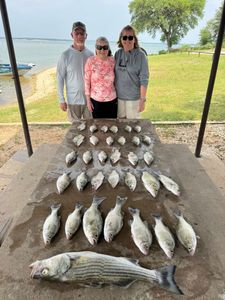 8 striped bass caught while fishing in TX